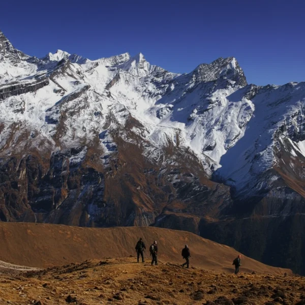 Gemini_Generated_Image_1m9l2q1m9l2q1m9l